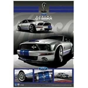  Shelby Mustang GT500KR 3D Poster: Home & Kitchen