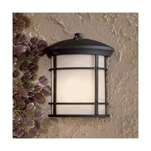  Iconic 10 1/4 High ENERGY STAR® Outdoor Wall Light: Home 