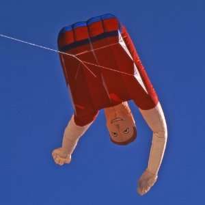  Martin Lesters Top Half Parafoil Kite: Toys & Games