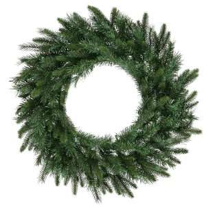  24 Blue Ridge Fir Wreath 100 Tips: Home & Kitchen
