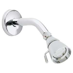  Moen 12894 Commercial Showerhead, Chrome