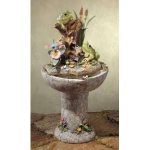  Colorful Frog Garden Fountain: Everything Else