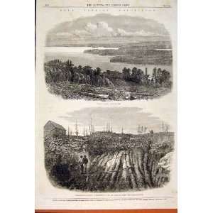    Nova Scotia Goldfields Halifax Laidlaw Quartz 1862