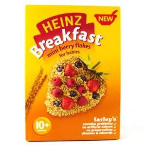Heinz 10 Month Mini Berry Flakes Packet: Grocery & Gourmet Food