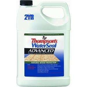  Thompsons 21711 1 Gallon Advanced Natural Wood Protector 