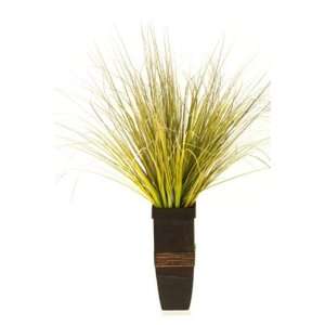  Onion Grass in Square Wooden Planter Patio, Lawn & Garden