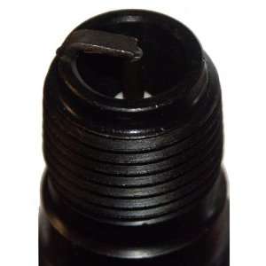  3095 Autolite Traditional Spark Plug: Automotive