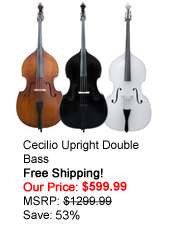 New Cecilio Electric Silent Violin w/Book & DVD Lessons  