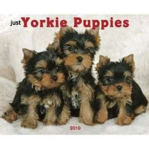  Just Yorkie Puppies 2010 Wall Calendar: Office Products