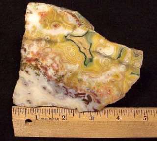   Grade Old Stock OCEAN JASPER Faced Rough Chunk 1 Pound 5 Ounces  