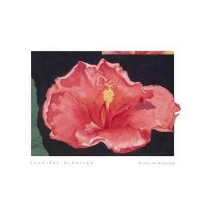  Pink Hibiscus Poster Print: Home & Kitchen