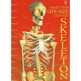 Make This Cut Out Skeleton (Cut Out Model) Paperback by Iain Ashman