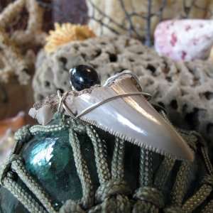  Fossilized Great White Shark Tooth Pendant: Everything 