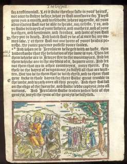 1552 Tyndale Black Letter Bible Leaf/RARE/HANDCOLORED WOODCUT/WIDOWS 