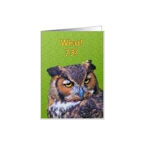  73rd Birthday Card with Great Horned Owl Card: Toys 
