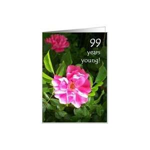  99th Birthday Card   Pink Roses Card Toys & Games
