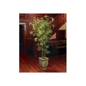  Silk Asian Bamboo Tree   9ft: Home & Kitchen