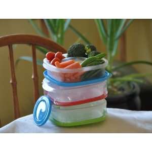 Lunch Box for Work Veggie Containers with Separate Lidded Dip Slot Set 