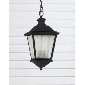  Woodside Hills Collection Outdoor Lantern