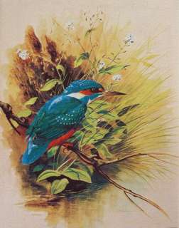 20x16 STRETCHED NEEDLEPOINT PAINTING: KING FISHER  