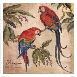  Macaw Finest LAMINATED Print Betty Whiteaker 13x13