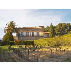 View of Vineyard, Domaine De La Tour Du Bon, Le Castellet, Bandol, Var 