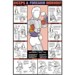  Co ed Biceps & Forearm Workout 24 X 36 Laminated Chart 