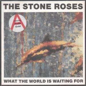  WHAT THE WORLD IS WAITING FOR 7 INCH (7 VINYL 45 