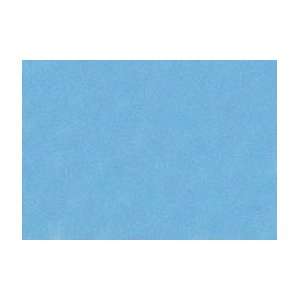   Pastel   Standard Box of 3   Cerulean Blue 260 Arts, Crafts & Sewing