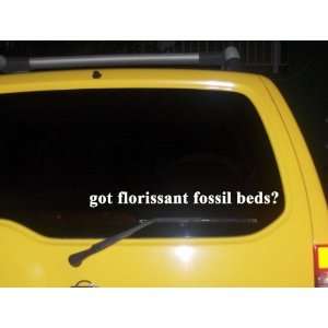  fossil beds? Funny decal sticker Brand New 