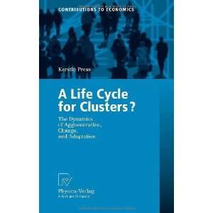  A Life Cycle for Clusters? The Dynamics of Agglomeration 