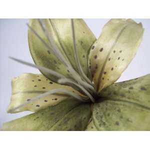  Green Tiger Lily Hair Flower Clip: Beauty