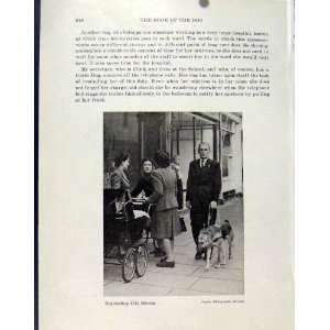  City Street Dogs Bunkirk Germany Guide Dog Old Print