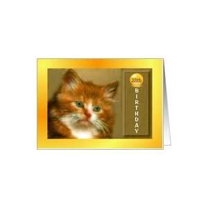  Birthday ~ Year Specific 28th ~ Fluffy Kitten Card: Toys 