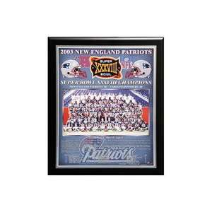  NFL Patriots 03/04 Super Bowl #38 Plaque: Sports 
