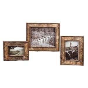  Set of 3 Birch Bark Picture Frames: Home Improvement