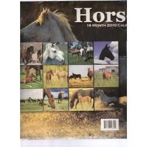  2010 16 Month Calendar Horses: Office Products