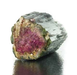 Shiny green and gemmy ruby red watermelon tourmaline crystal