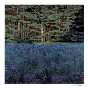 Shadowed Meadow, Sunlit Pines By Jon R Friedman Highest Quality Art 