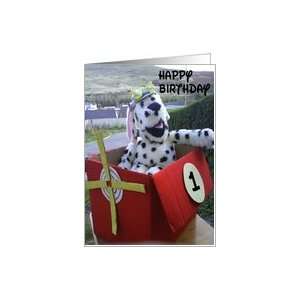  birthday; spot flys Card Toys & Games