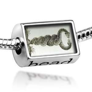  Beads Snakes   Pandora Charm & Bracelet Compatible Bead 