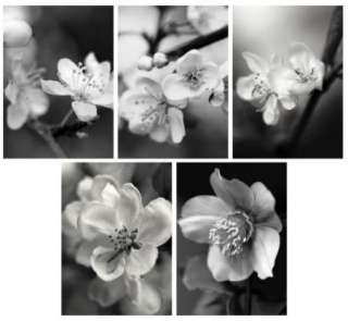 Flores negras y blancas   tarjetas/impresiones de arte de IKEA Kort