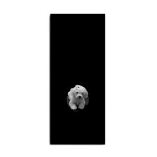 Black Hand Towel Maltipoo Puppy Dog White Maltese Poodle Bichon Frise 
