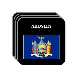 US State Flag   ARDSLEY, New York (NY) Set of 4 Mini Mousepad Coasters