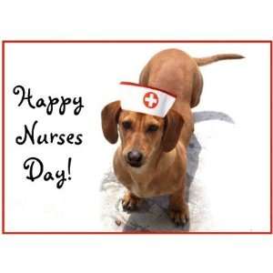  Happy Nurses Day Dachshund greeting card Health 
