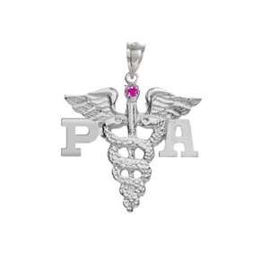 NursingPin   Physician Assistant PA Charm with Ruby in 