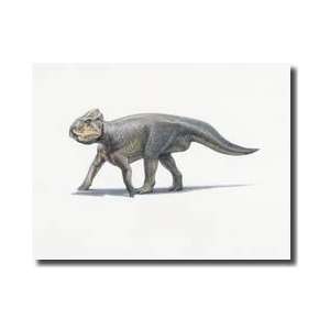   From The Late Cretaceous Period Giclee Print