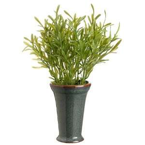  11 Rosemary in Ceramic Container Green (Pack of 12)