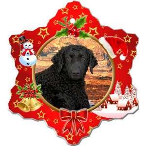  Curly Coated Retriever Porcelain Holiday Ornament: Home 