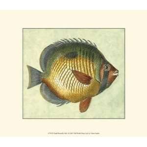  Small Butterfly Fish I   Poster (13x9.5): Home & Kitchen